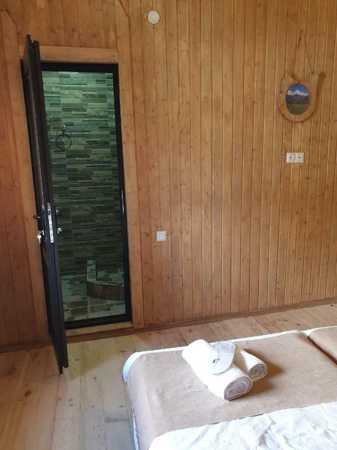 ホテル Bana カズベギ エクステリア 写真